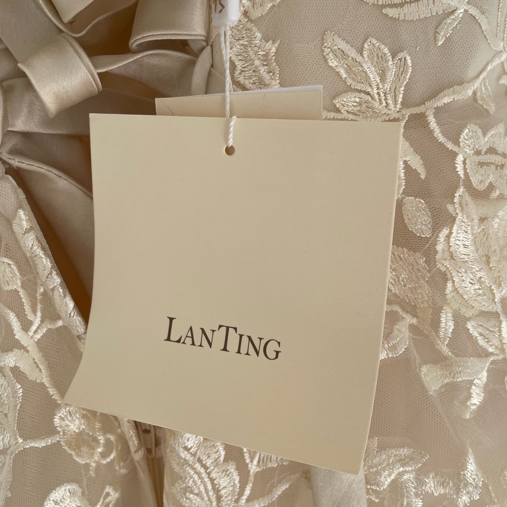 Gorgeous champagne lace wedding gown - Picture 10 of 12